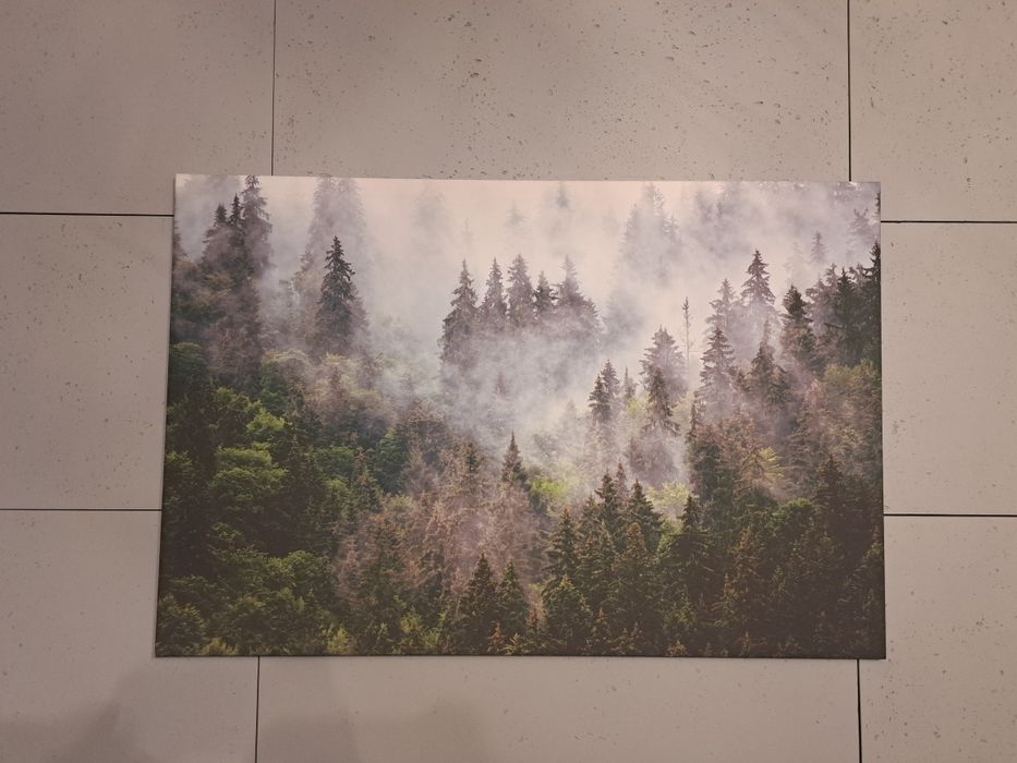 Obraz las we mgle mgła na płótnie foto tapeta 120x80