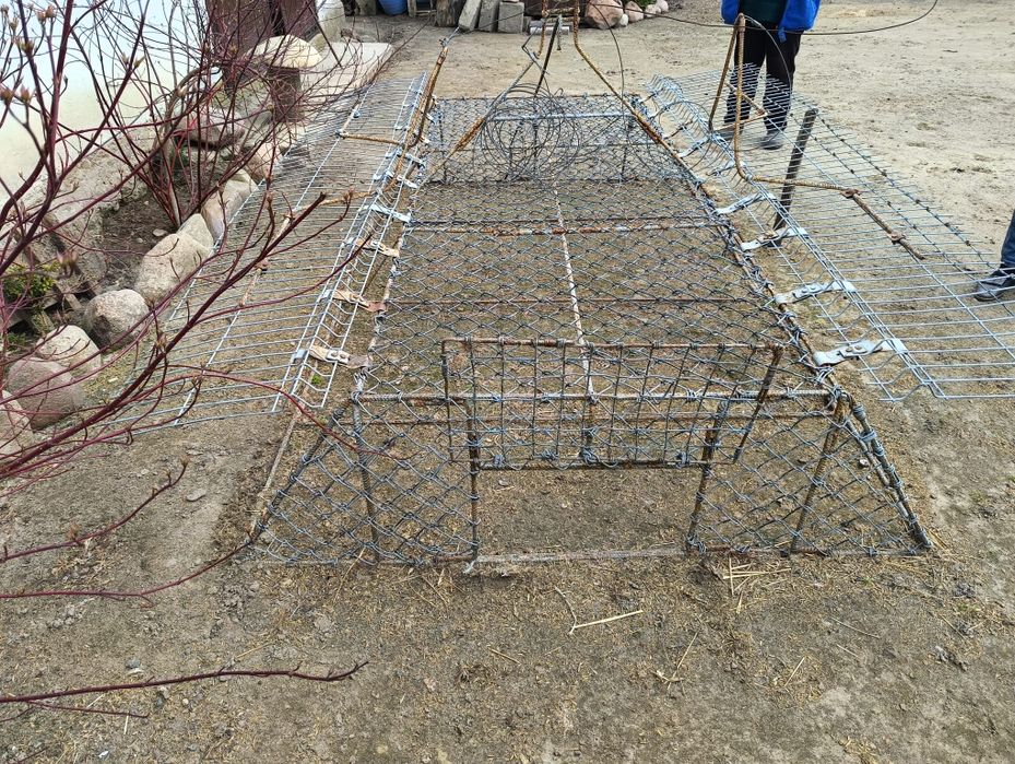 Klatka siatkowa dla golębi