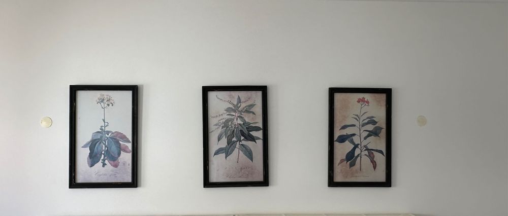 Quadros Parede conjunto 3 quadros