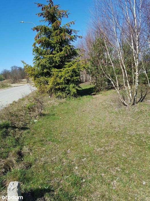 Piękna działka 1234 m² | MPZP | blisko Trójmiasta | bezpośrednio