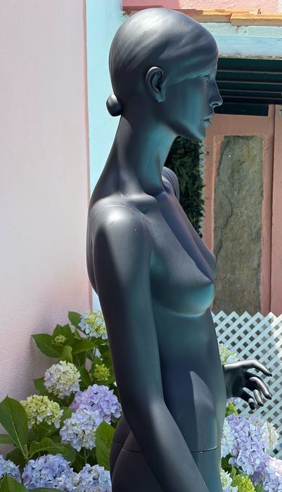 Manequim feminino óptimo