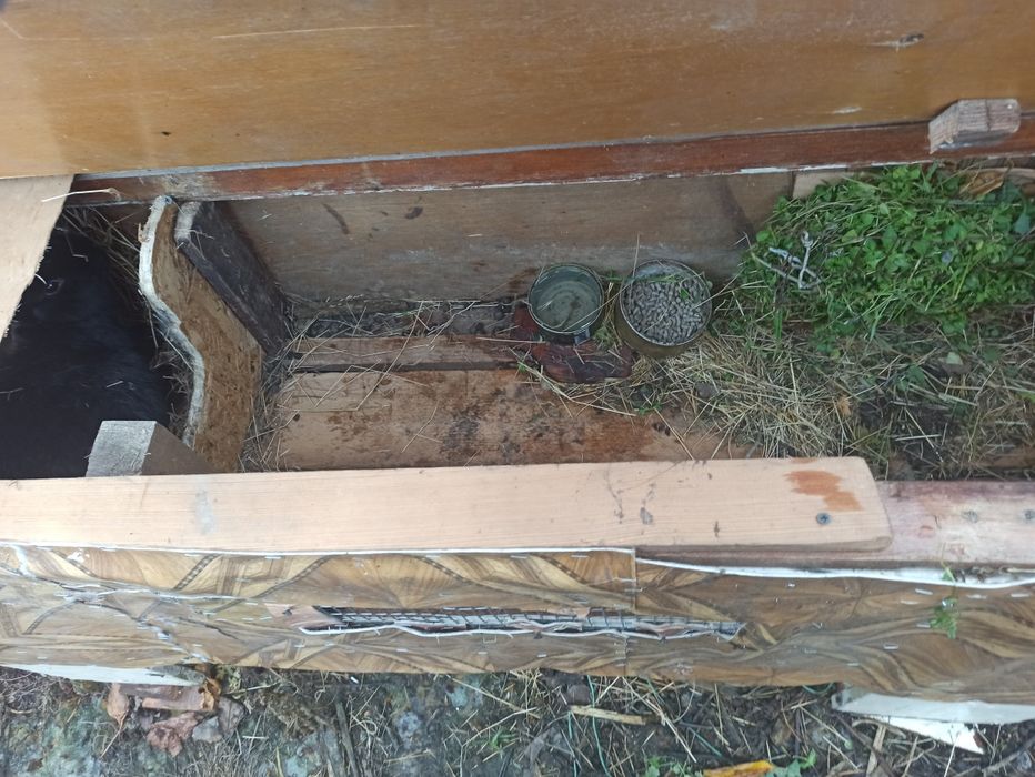 Продам клетки для кролей