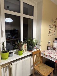 Mieszkanie – Gdańsk, Kuźniczki, Wrzeszcz Dolny - Widok 5