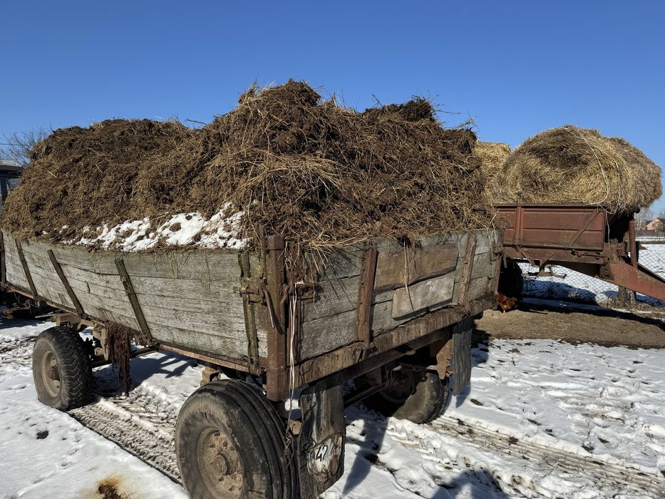 Гній, гной, перегной
