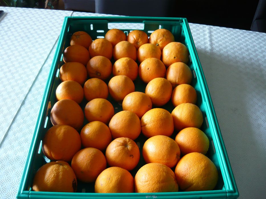 Cabaz de fruta - Laranja - do Pinhão - Região do Douro