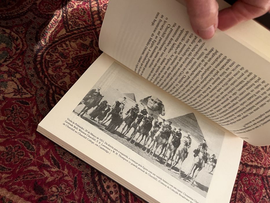 Livro: A Loucura de Churchill