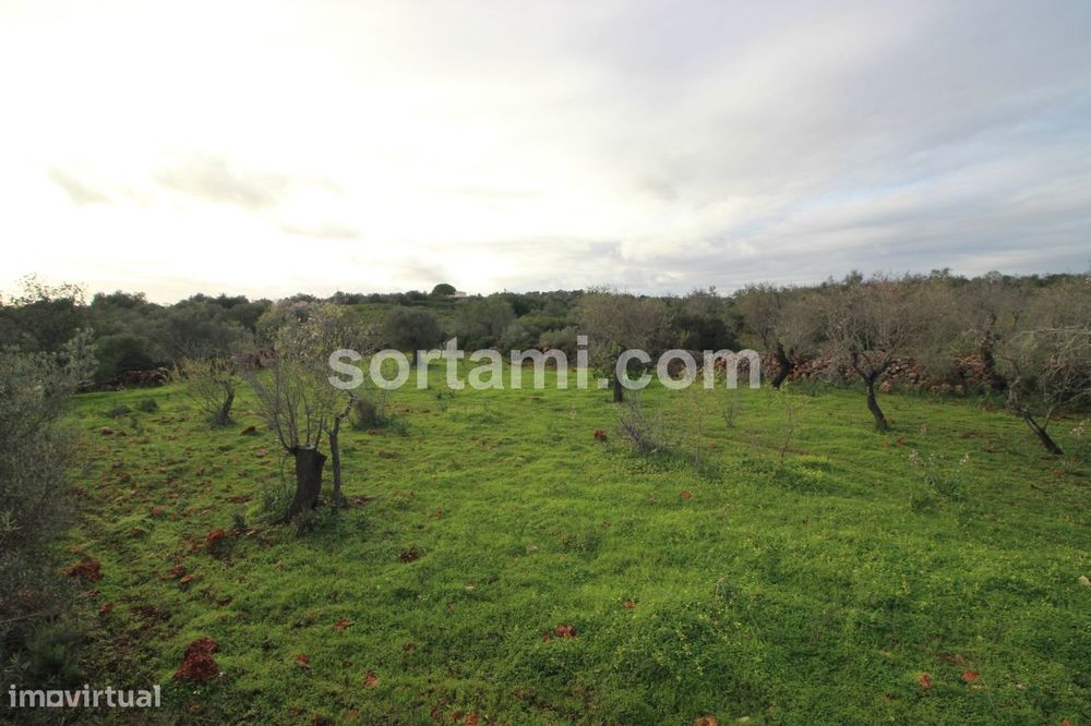 Terreno Rústico  Venda em São Bartolomeu de Messines,Silves — São Bartolomeu de Messines, Faro