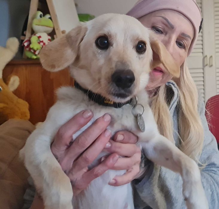 Balbinka to istne cudo