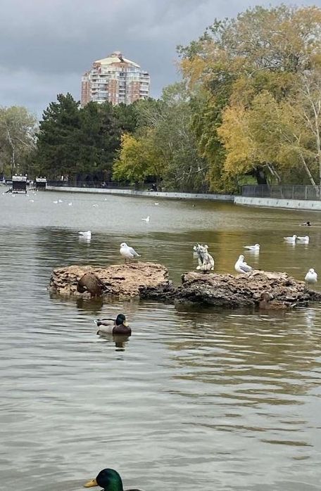 1-комнатная квартира на проспекте Шевченко