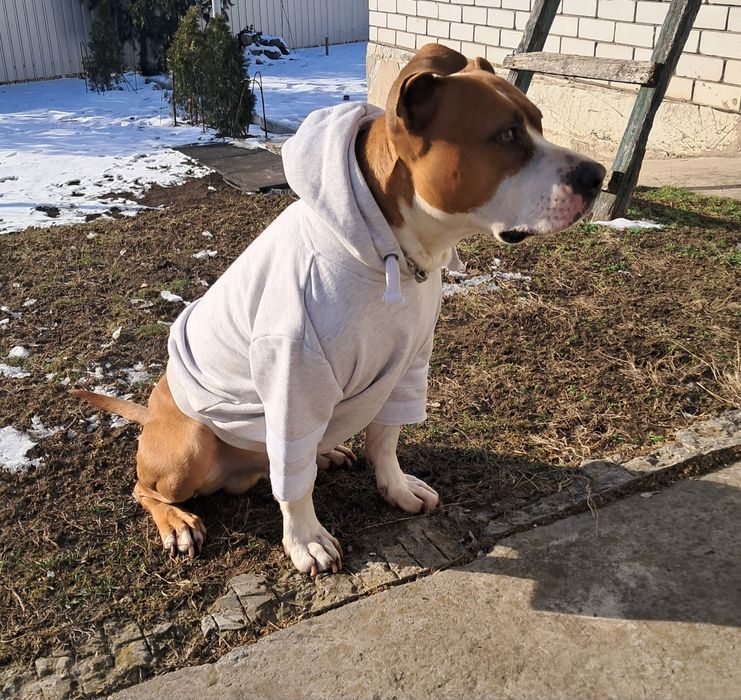 Хлопчик шука Дівчинку