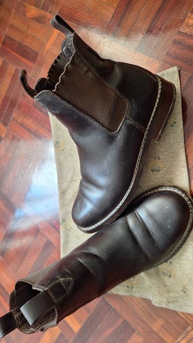 Botins equitação Chester