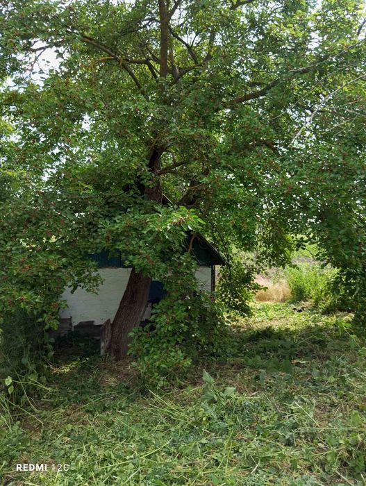 Приватний будинок