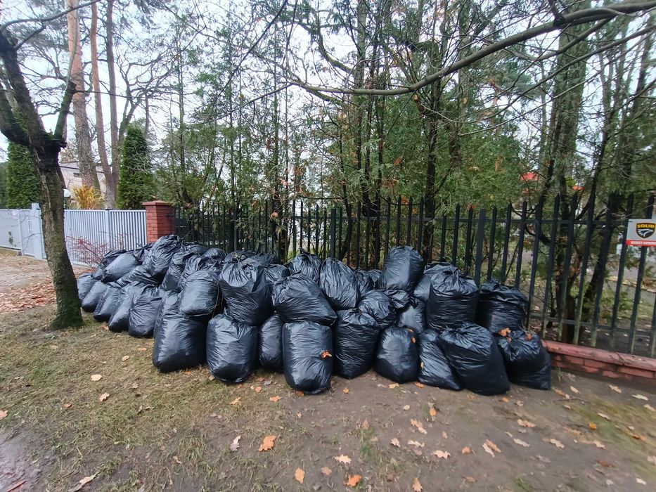 Grabienie liści, ZIMOWA pielęgnacja OGRODU