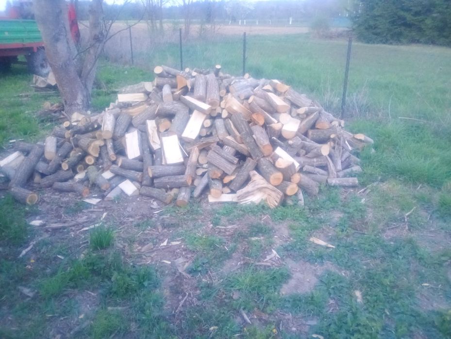 Sprzedam drzewo opałowe brzoza osika