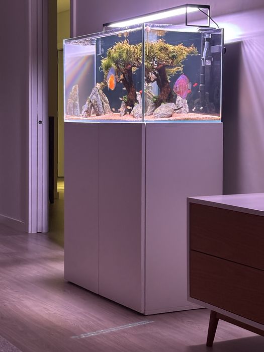 Aquário completo