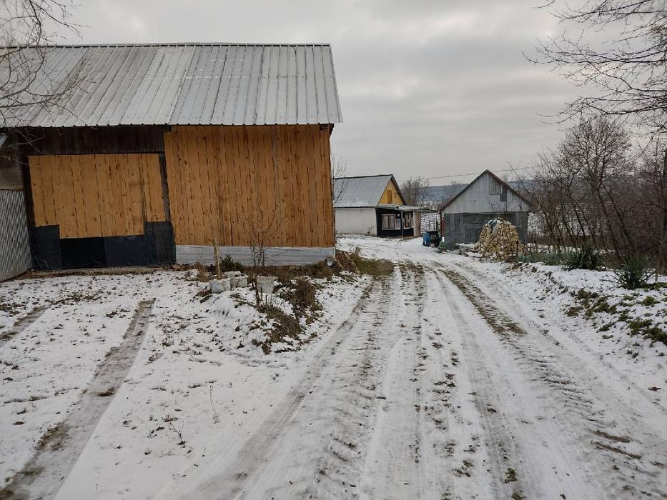 Sprzedam dom z zabudowaniami gospodarczymi i polem rolnym - Widok 3