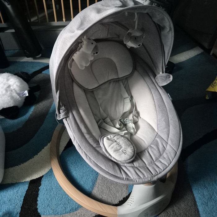 Bujaczek niemowlęcy