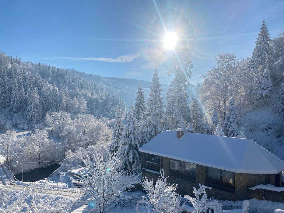 Лісова казка у пані Стефанії  Котедж , відпочинок в Карпатах, Славське