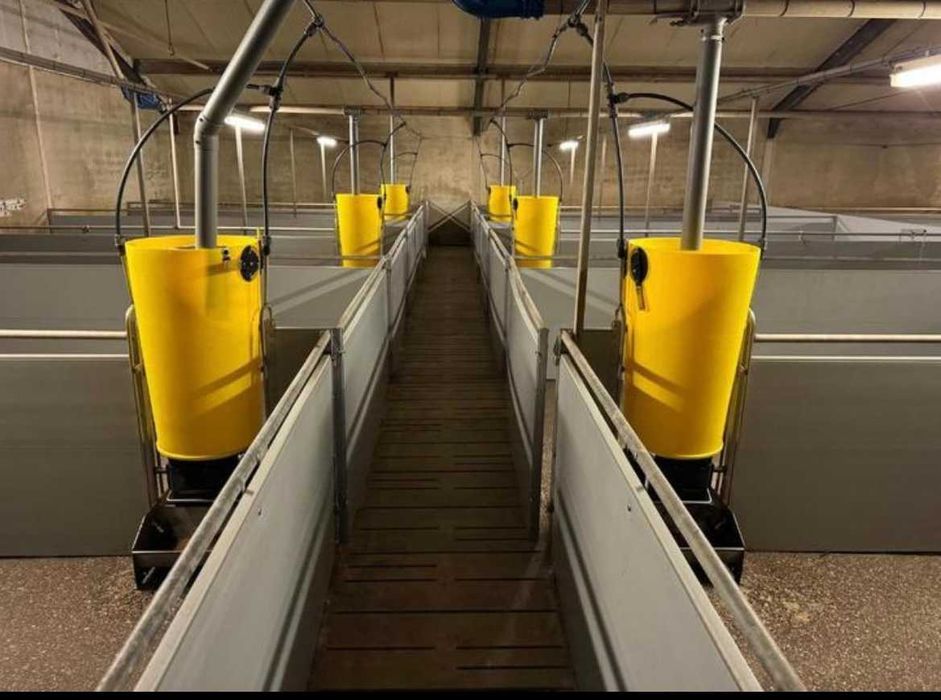 Обладнання для свинарства, пвх перегородки