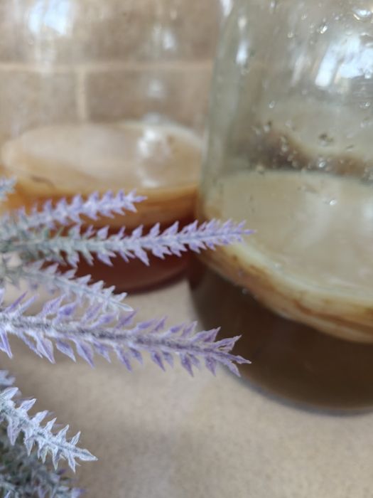 ЧАЙНИЙ гриб як в дитинстві -КОМБУЧА.