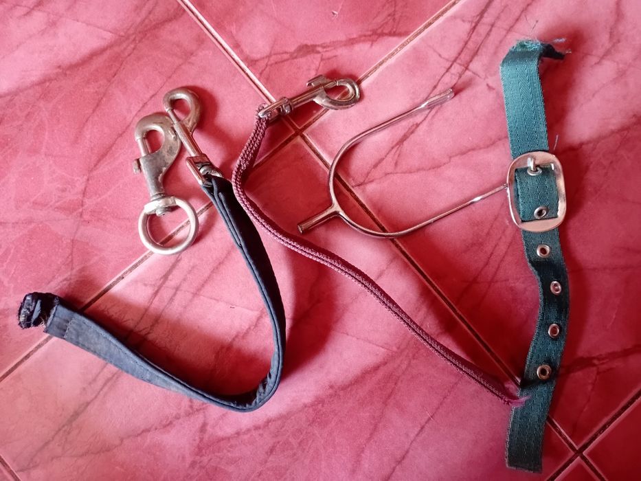 Амуніція для коня лошади