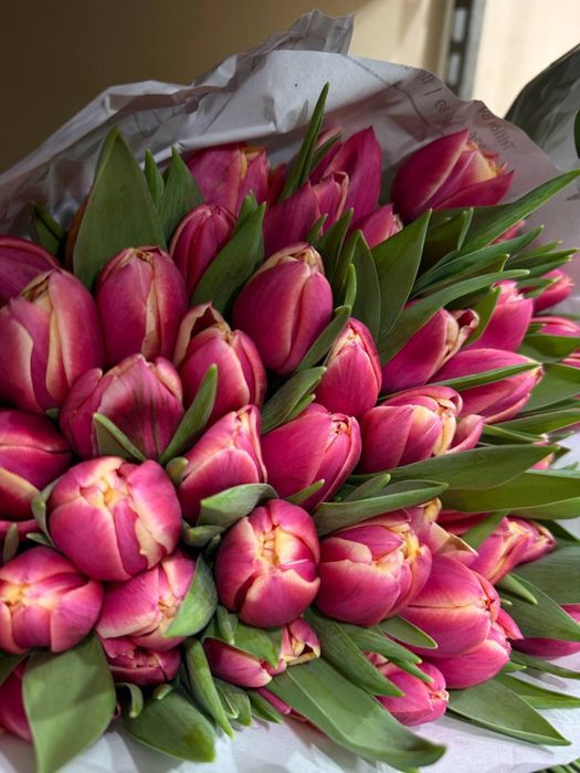 Тюльпаны оптом опт пачками цветы Одесса