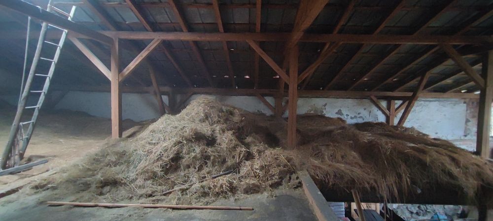 Oddam za darmo słomę