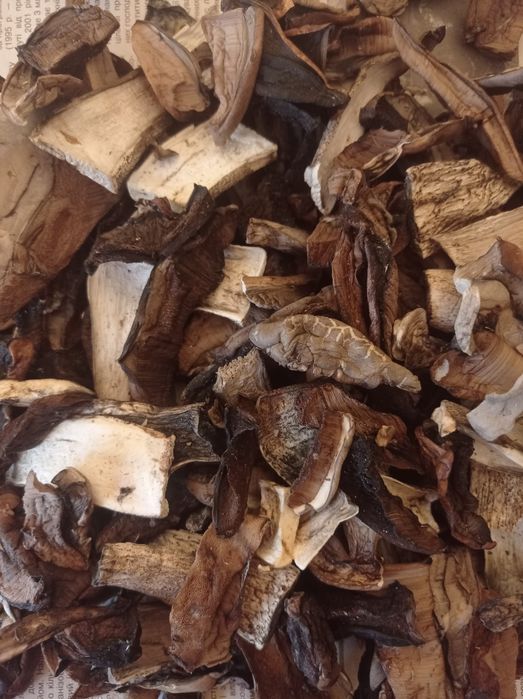 Сушені гриби підосичники, дубовики,білі