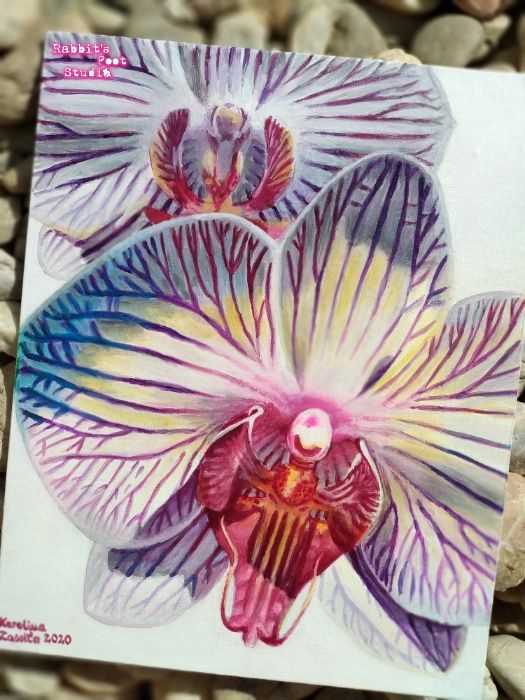 Orchidea (storczyk). Obraz akrylowy 24x30 cm.