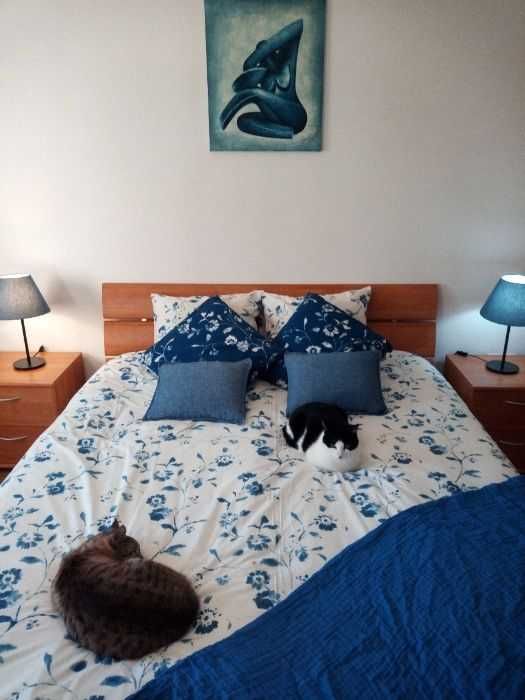 Quarto Solarengo, 15 m2, WC Privativo