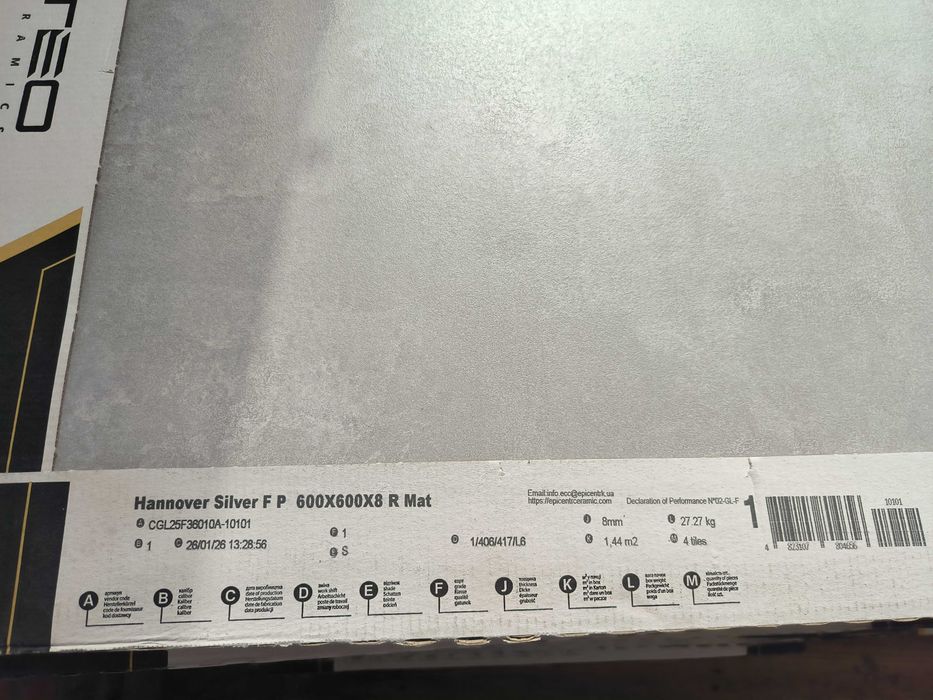 Керамічна плитка TEO Ceramics Hannover Silver FP 600x600x8 R Mat 1