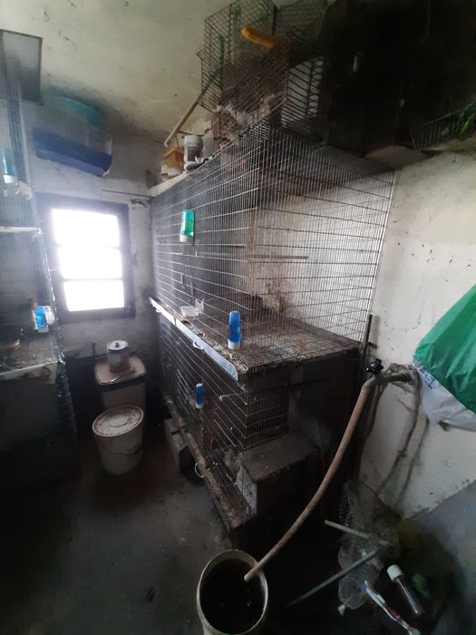 Vendo Gaiola  galvanizada 1.45x1.80x62