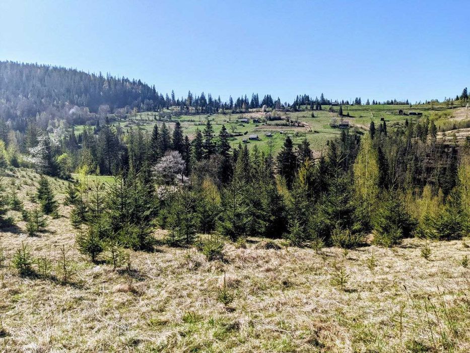 Видова ділянка в Микуличині 72 сот