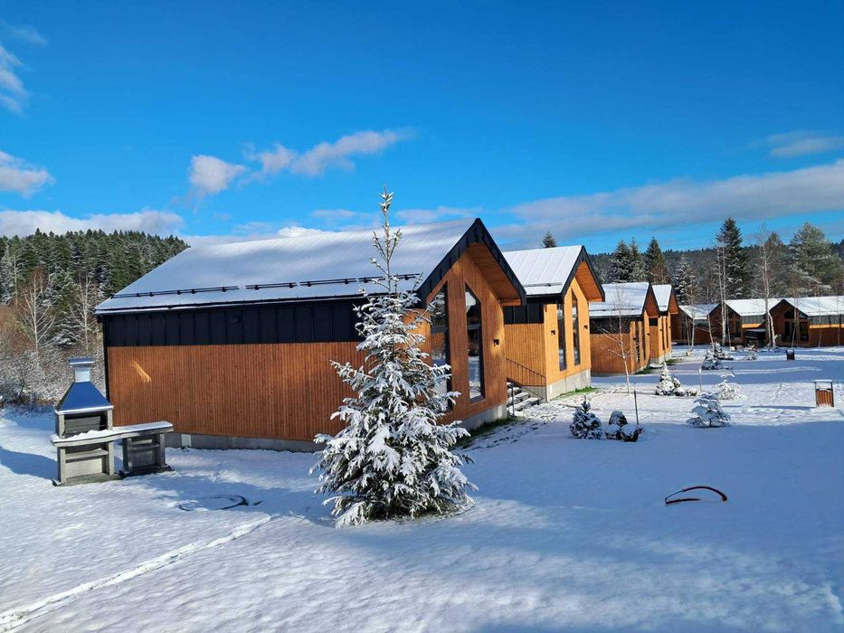 Продам котедж в Східниці