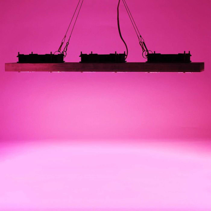 Фіто лампа 300 ватт, теплиця, гроубокс, фітолампа для рослин