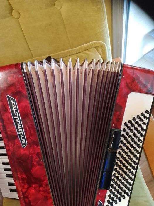 Akordeon Weltmeister