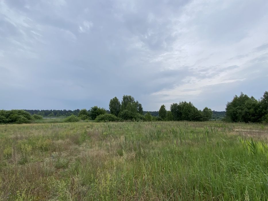 Ексклюзив! Без%. Берег ставу. Земля
