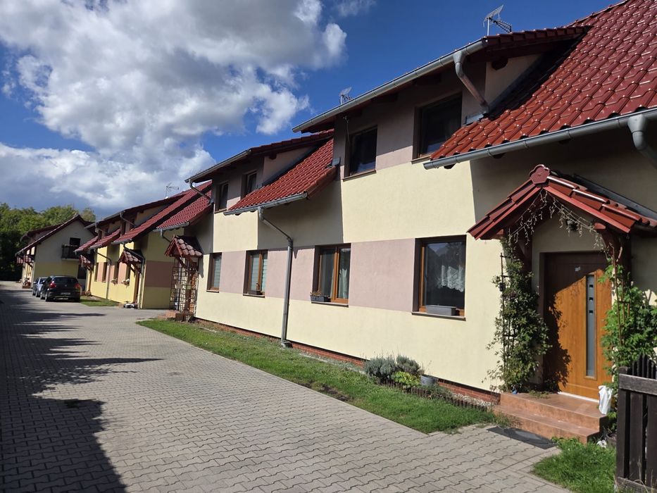 Mam do wynajęcia dom - Widok 4