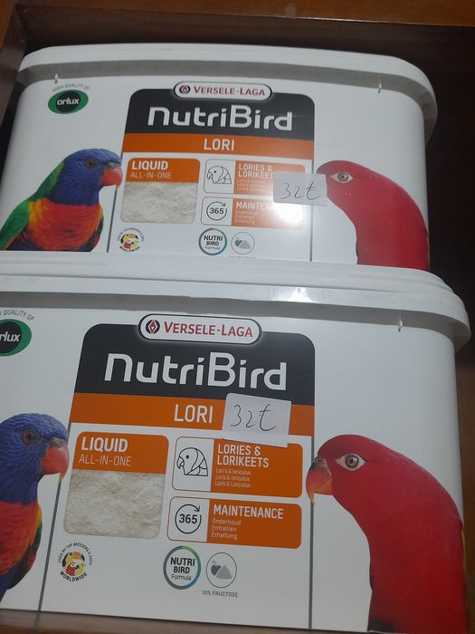 Loris nektar 3 kg 31 euros