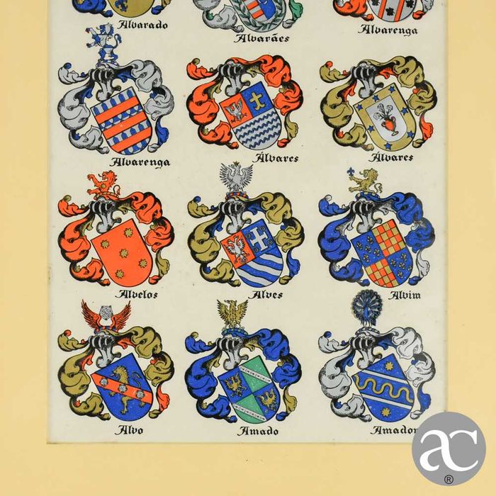 Litografia heráldica emoldurada em madeira dourada e vidro nº3