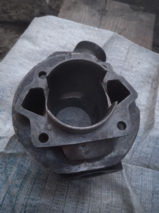 Циліндр муравей тулиця