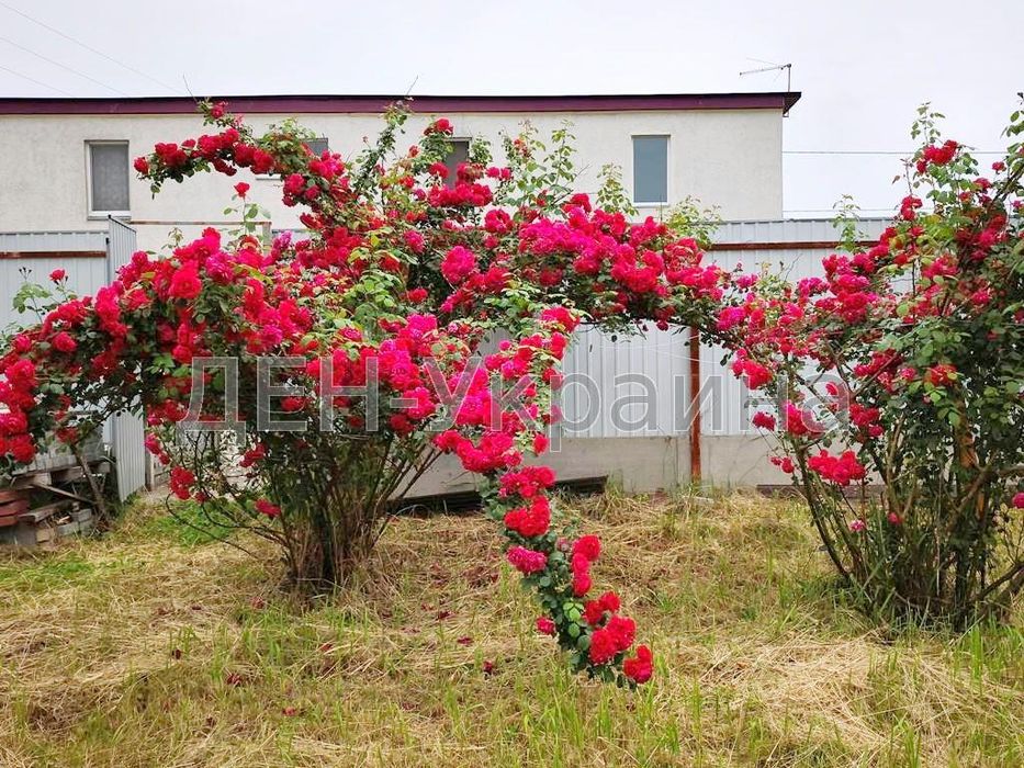 Продаж будинку в с. Рожівка, Броварський р-н, 16 км до Києва