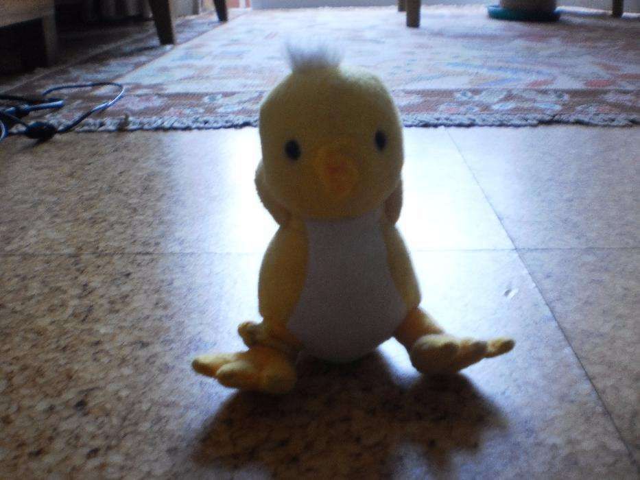 4 Acessórios Animais