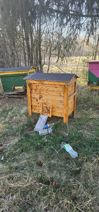 Ule warszawskie poszerzane, dadant