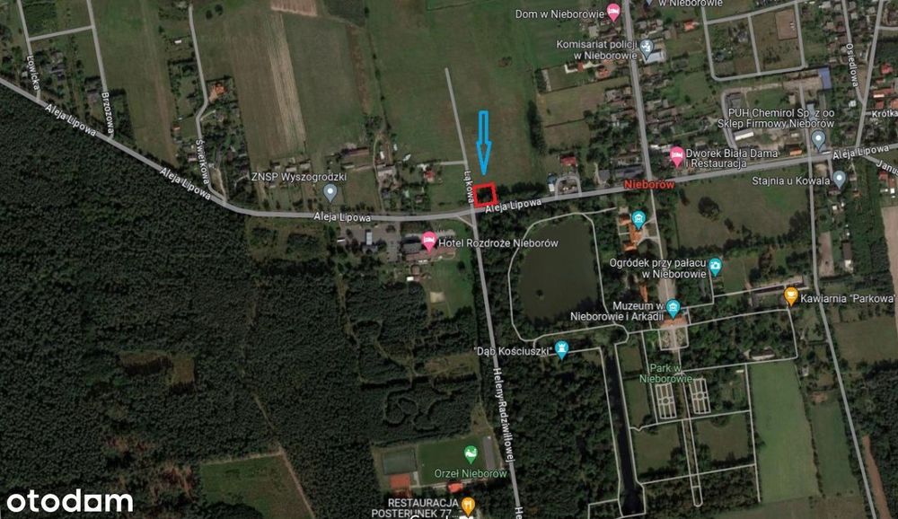 Działka bud-usł (MPZP) naprzeciwko Pałacu Radziwiłłów w Nieborowie