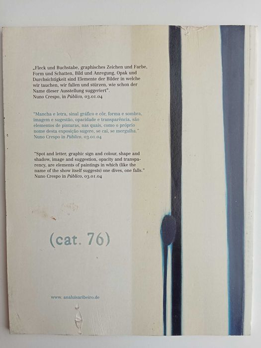 Ana Luísa Ribeiro - Quedas, mergulhos e Pinturas abstractas