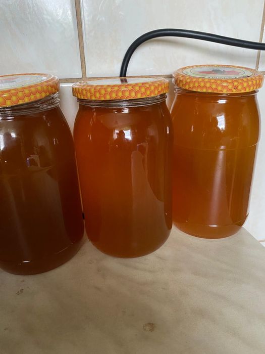 Sprzwdam świerzy miód lipowy