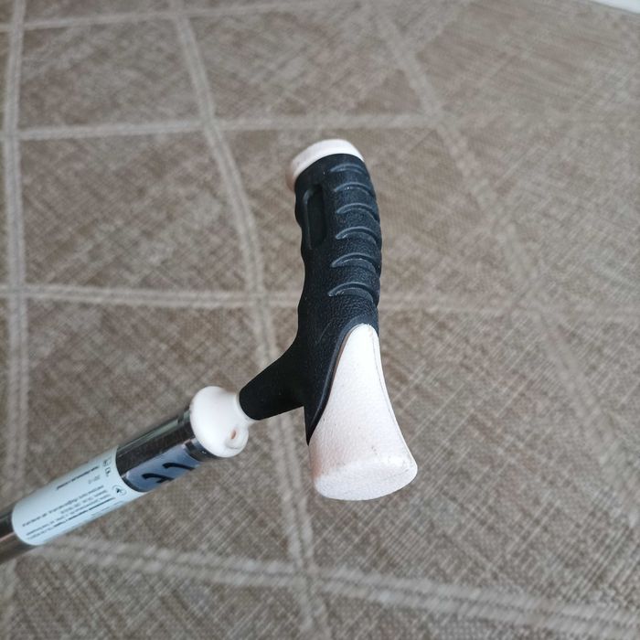 Палиця трость тростина