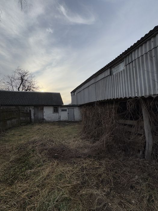 Продаж будинка в селі Красилівка