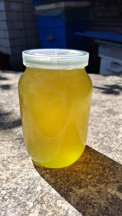 Натуральний Акацієвий мед та Соняшниковий з власної пасіки  2025 року